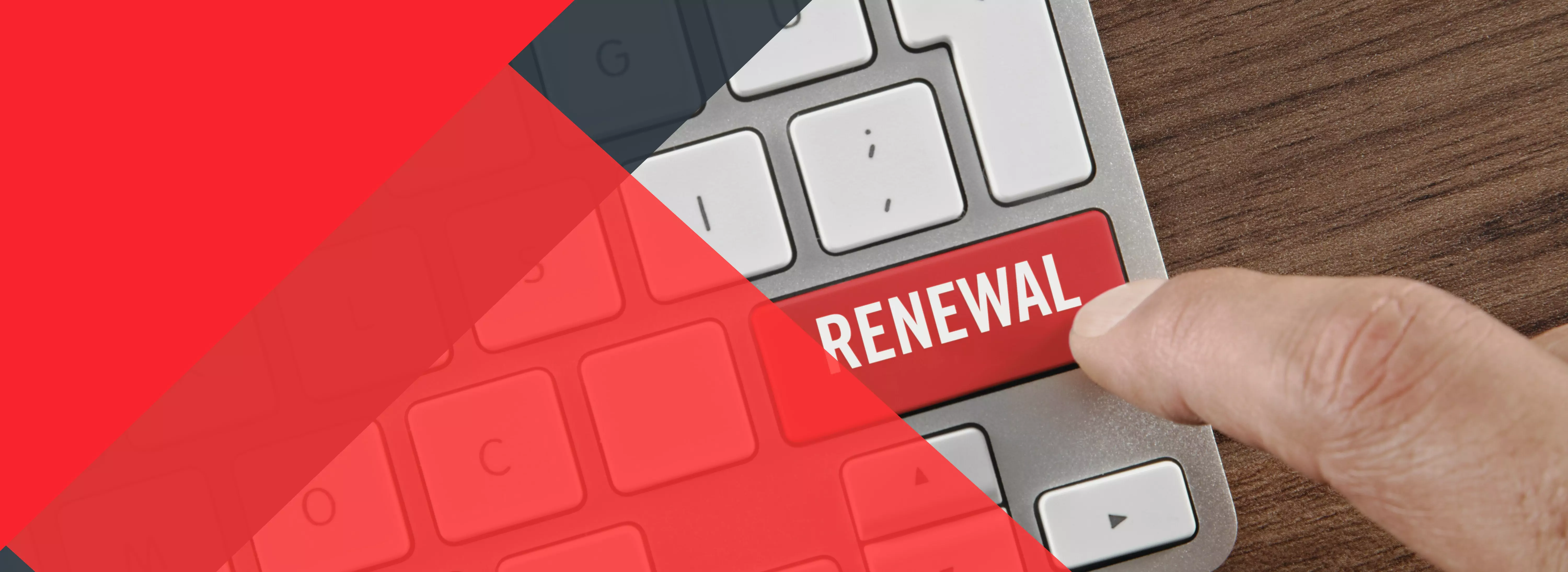 business-license-renewal-uae